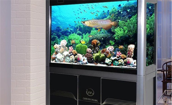 浮陽水族加盟