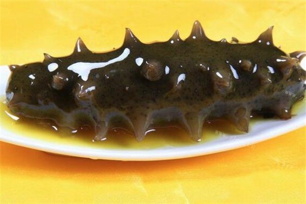 海恩康海參