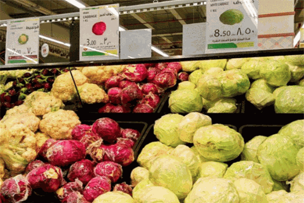 多哈蔬菜食品