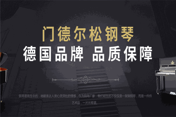 博樂(lè)琴行