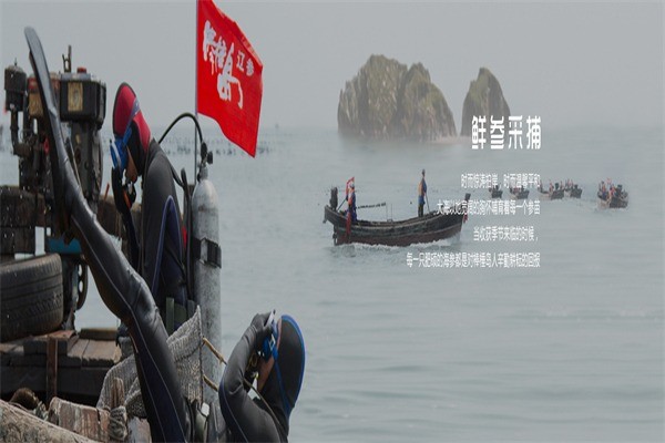 棒棰島海參