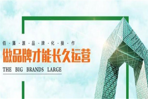 佰藻源硅藻泥加盟