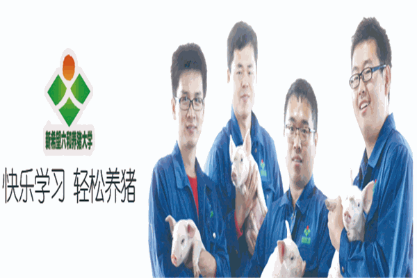 新希望養(yǎng)豬