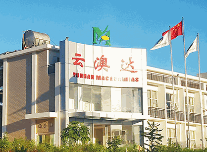 云澳達(dá)堅(jiān)果