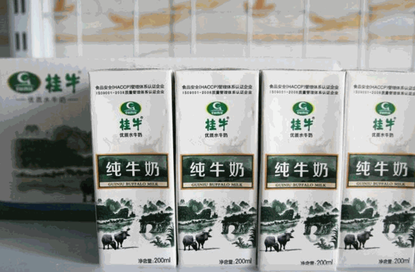 桂牛水牛奶