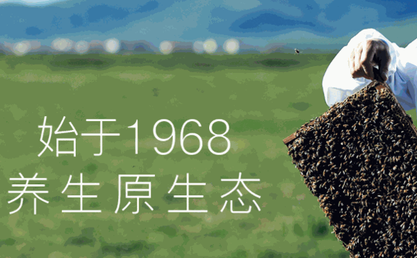 楊氏蜜蜂園