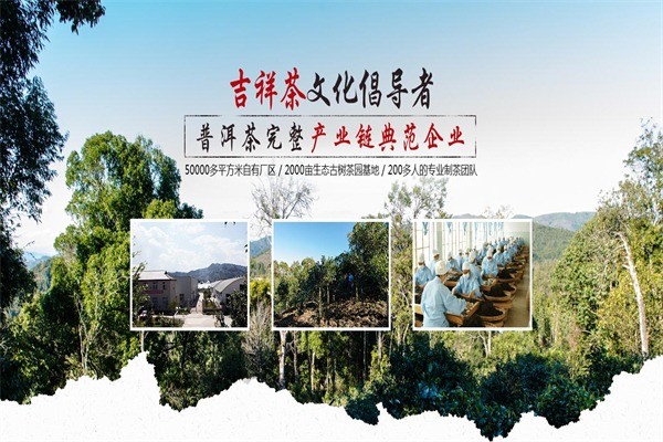 中吉號茶業(yè)