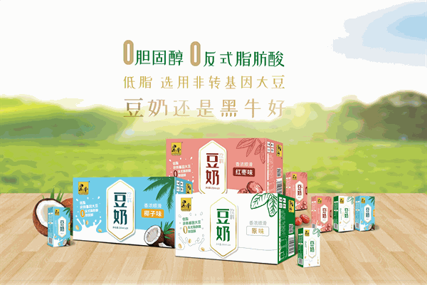 黑牛豆奶