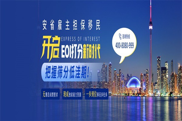 兆龍出入境