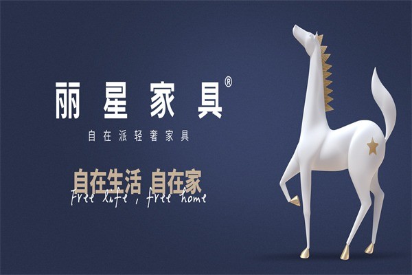 麗星家具