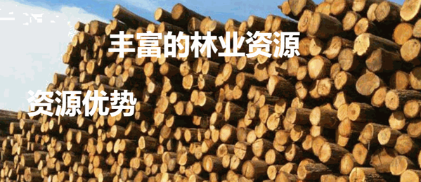 美來地板