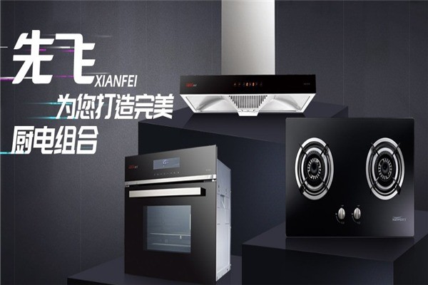 先飛廚衛(wèi)電器