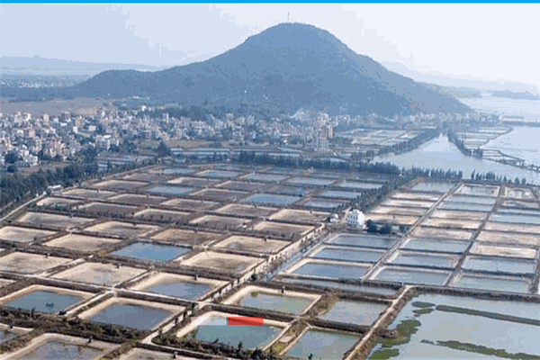 冠利達(dá)海鮮
