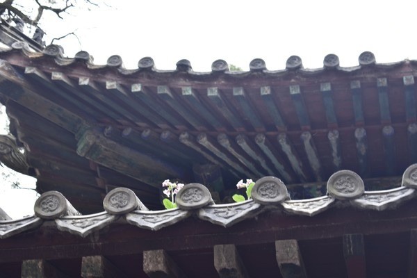 圣都古建磚瓦加盟