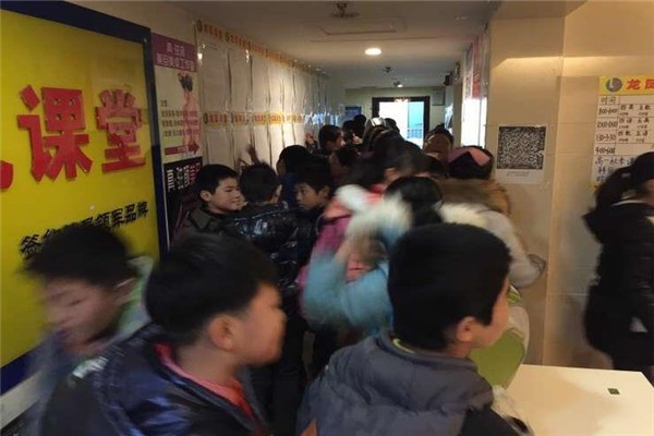 龍鳳教育