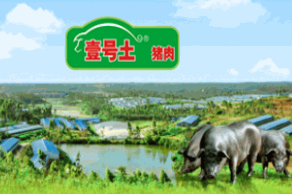 壹號土豬