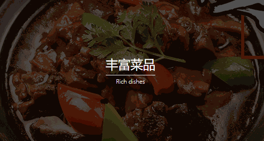 水城黃燜雞米飯