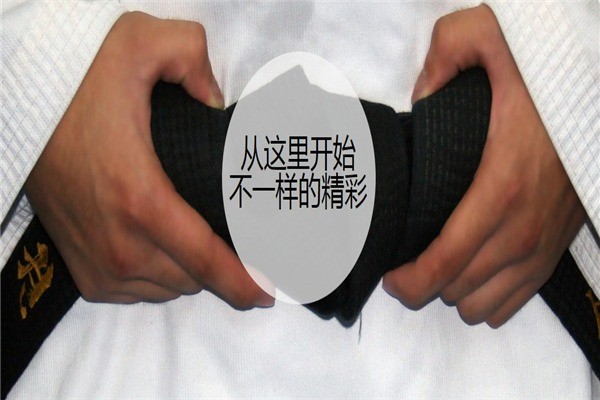 領(lǐng)風(fēng)者跆拳道
