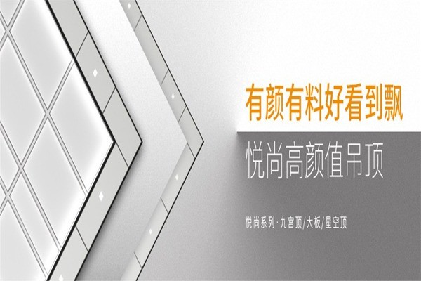 法獅龍時(shí)尚吊頂