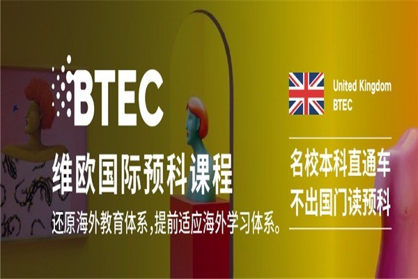 維歐國際教育