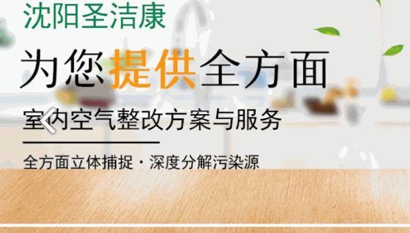 圣潔康除甲醛