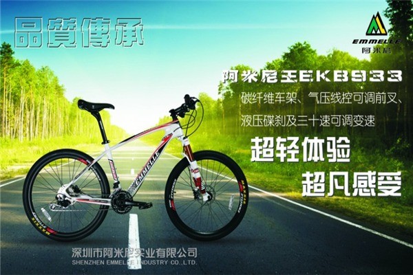 阿米尼自行車