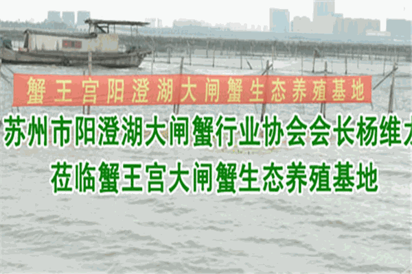 蟹王宮陽澄湖大閘蟹