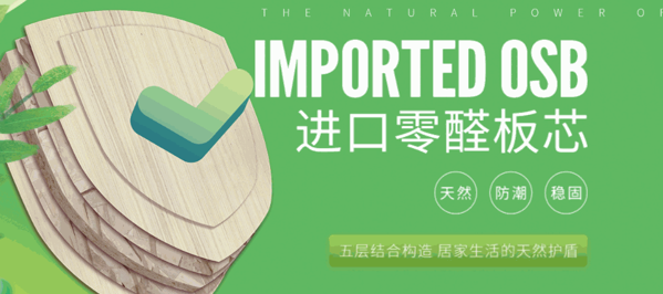 邦元名匠衣柜