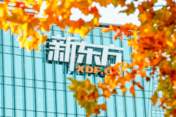 新東方小學(xué)英語