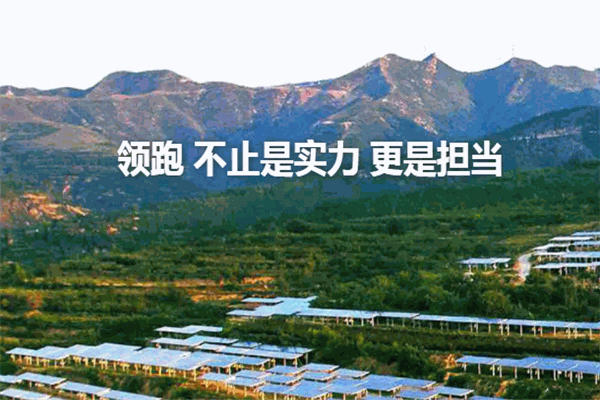 協(xié)鑫光伏