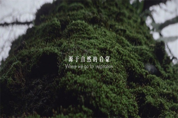 傳世完整家居