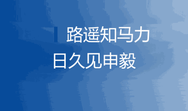 申毅投資