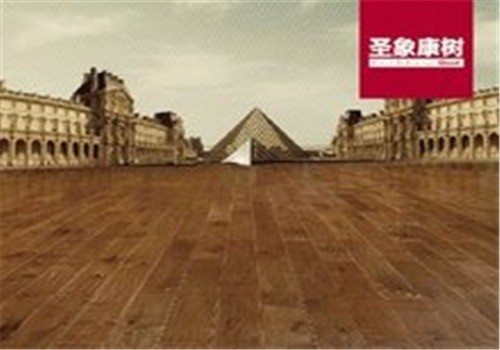 圣象康樹地板加盟