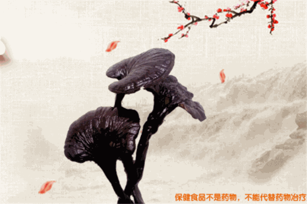 順芝堂養(yǎng)生館