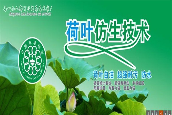 ABA澳霸硅藻泥