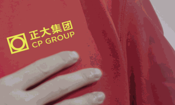 正大養(yǎng)豬