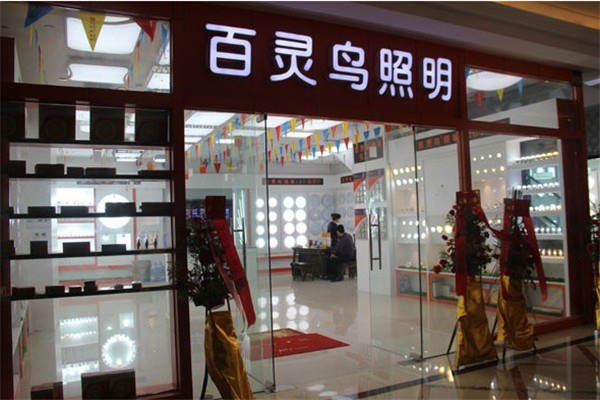 百靈鳥(niǎo)照明加盟