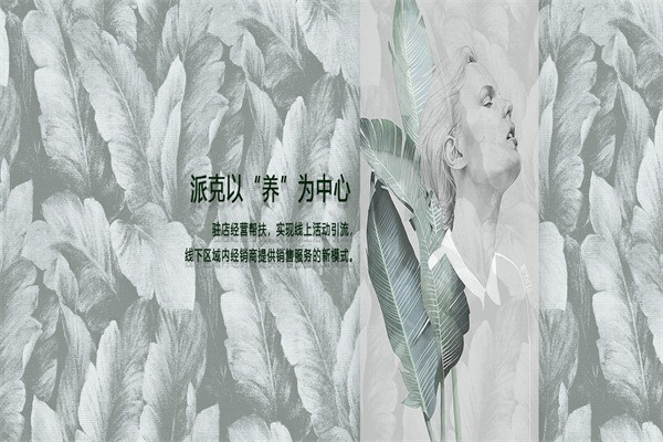 派克墻布