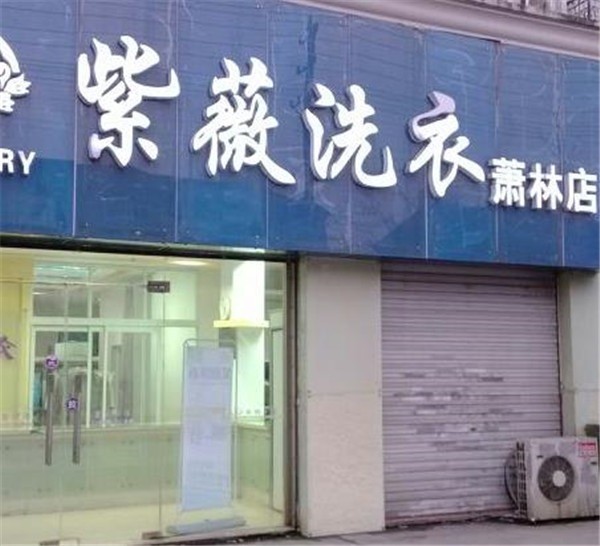 紫薇干洗