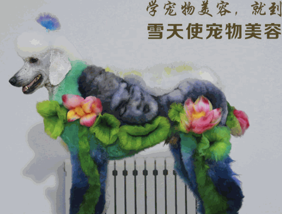 雪天使美容