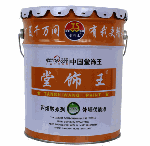 堂飾王水漆