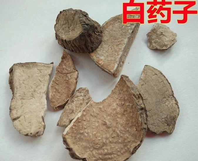 冷背藥材