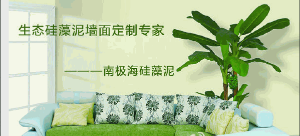 原生態(tài)硅藻泥加盟