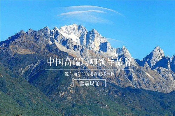 雪鼎瑪咖養(yǎng)生