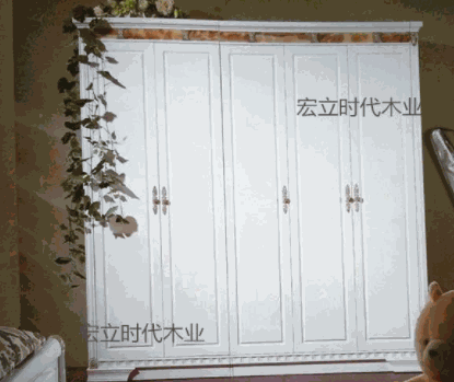 宏立時代衣柜