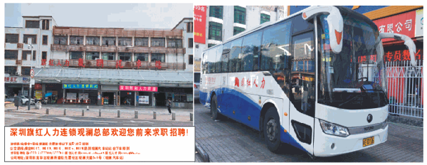 錦紅
