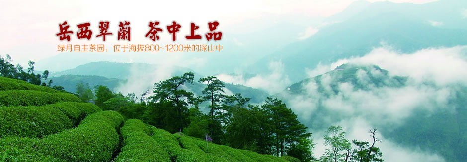 綠月茶業(yè)