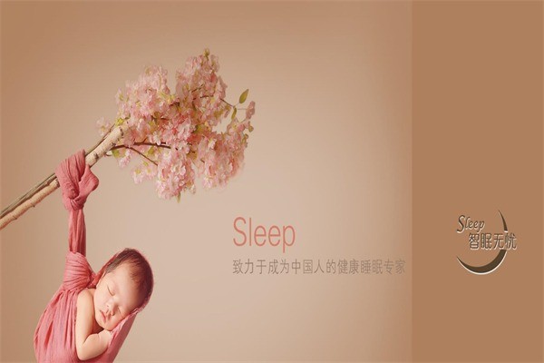 智眠無憂智能床墊