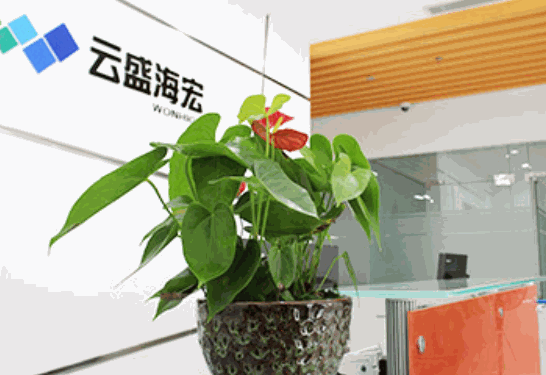 新百麗