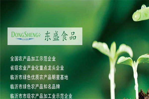 東盛食品